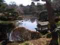 日本庭園の池