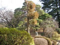 日本庭園1